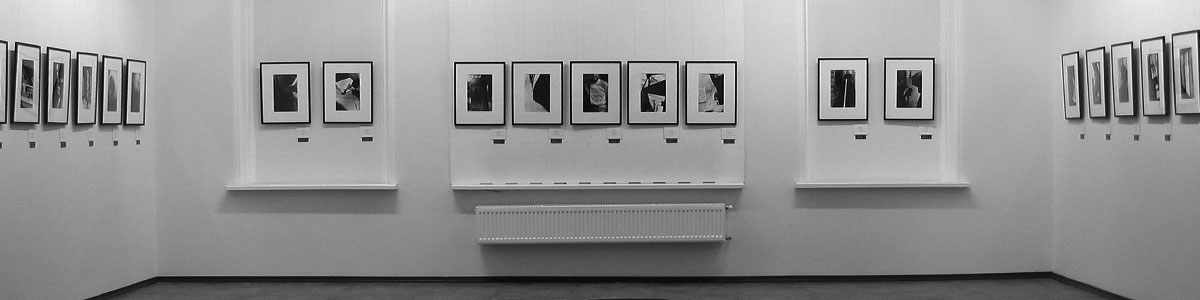 gallery wall with photos hung in dull light